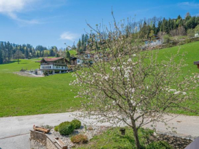 Penningberg Top 1 Hopfgarten Im Brixental